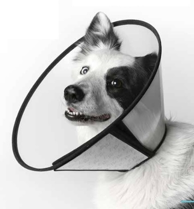 Picture of Leopet Plastic Velcro Surgical Collar